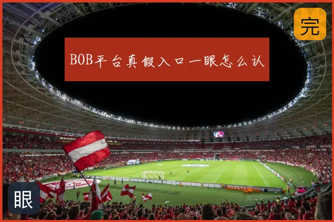 BOB平台真假入口一眼怎么认